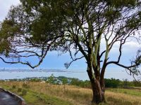 In Montevideo Aussicht auf die Stadt