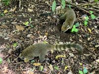 So viele feine Sachen sind da versteckt