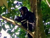 Das kann man essen, das nicht !