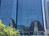 Die Kathedrale gespiegelt