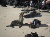 keine Berührungsängste