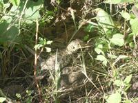 Wer erkennt hier was?