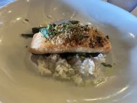 Hauptgericht: mit Kirschen und Thymian panierter Lachs