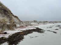 Stanley - Falklandinseln 