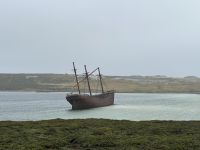 Schiffswrack vor Stanley