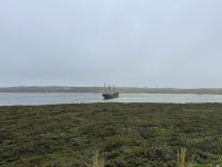 Schiffswrack vor Stanley