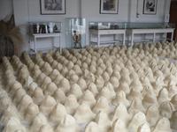 In der Panama-Hutfabrik