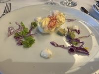 Vorspeise: gefüllte Eier mit Estragon, Avocado und Mandarinen