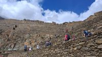Inka-Stätte Ollantaytambo Peru