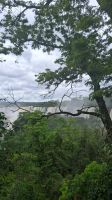 Blick auf Wasserfälle Iguazu