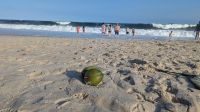 Copacabana &ndash; &copy; Natalie Hady (Eberhardt TRAVEL)