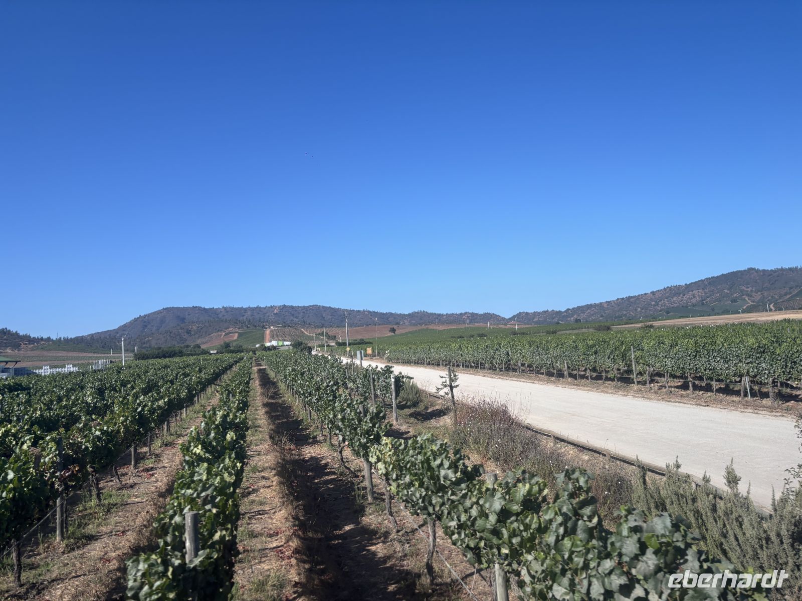 Weingut Casa del Bosque &ndash; &copy;  (Eberhardt TRAVEL)