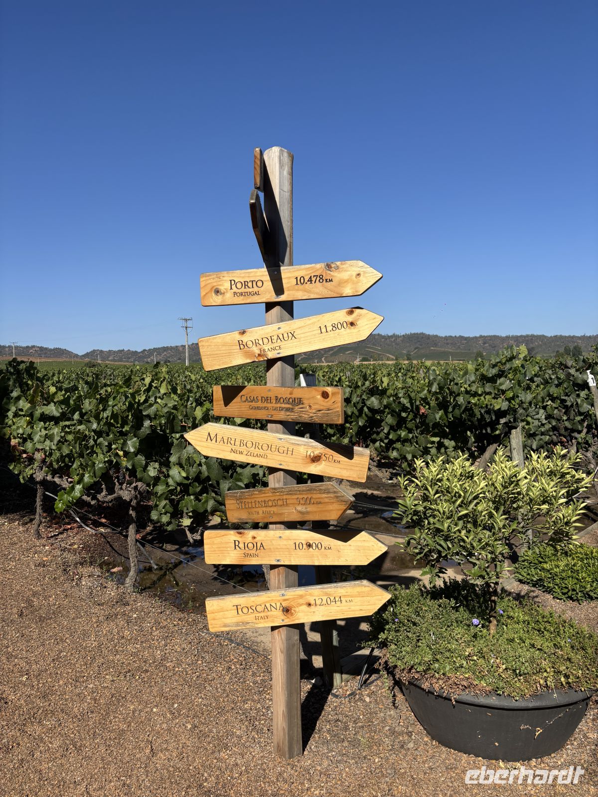 Weingut Casa del Bosque1 &ndash; &copy;  (Eberhardt TRAVEL)