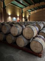 Weingut Casa del Bosque_Lagerung &ndash; &copy; Domenic Obiegli (Eberhardt TRAVEL)