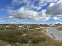 Falklandinseln &ndash; &copy; Domenic Obiegli (Eberhardt TRAVEL)