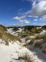 Dünen auf den Falklandinseln &ndash; &copy; Domenic Obiegli (Eberhardt TRAVEL)