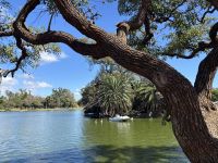 Rosedal del Palermo &ndash; &copy; Domenic Obiegli (Eberhardt TRAVEL)