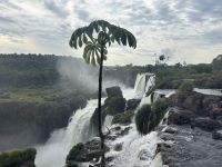 Argentinische Iguazúwasserfälle &ndash; &copy; Domenic Obiegli (Eberhardt TRAVEL)