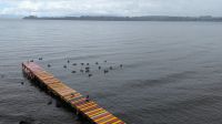 Puerto Varas &ndash; &copy; Natalie Hady (Eberhardt TRAVEL)