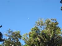 Cuyabeno Reservat - Mond über dem Regenwald