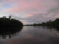 Cuyabeno Reservat - die groÁe Lagune