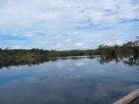 Cuyabeno Reservat - groÁe Lagune