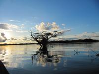 Cuyabeno Reservat - Große Lagune - Sonnenuntergang
