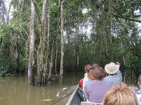 Cuyabeno Reservat - Bootsfahrt