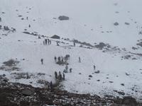 Chimborazo Nationalpark -Schnee oberhalb der zweiten SchutzhÜtte auf 5.000 Meter