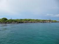 Galapagos - Insel Lobos