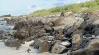 Galapagos - Espanola -Gadner-Bucht -