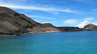 Galapagos - Ausflug nach Bartolomé -