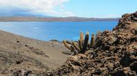 Galapagos - Ausflug nach Bartolome -