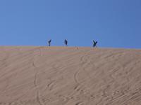 Sandsurfen im Mondtal