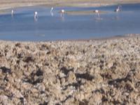 Salar de Atacama