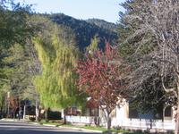 San Martin de los Andes