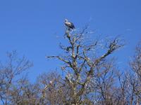 Fahrt nach Bariloche