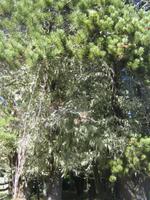 Fahrt nach Bariloche