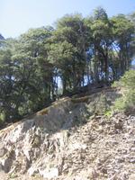 Fahrt nach Puerto Varas