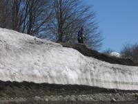 Nationalpark Puyehue