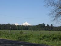 Fahrt nach Puerto Varas