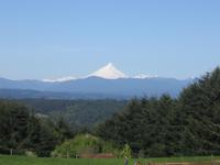 Fahrt nach Puerto Varas