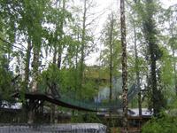 Eingang zum Baumhotel