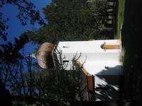 Fahrt nach Bariloche