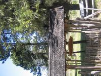 Fahrt nach Bariloche