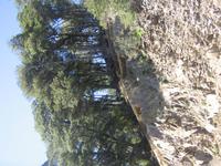 Fahrt nach Puerto Varas