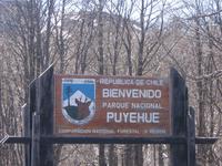 Nationalpark  Puyehue