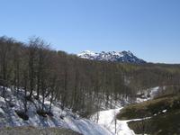 Nationalpark  Puyehue