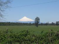 Fahrt nach Puerto Varas