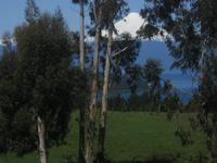 Fahrt nach Puerto Varas